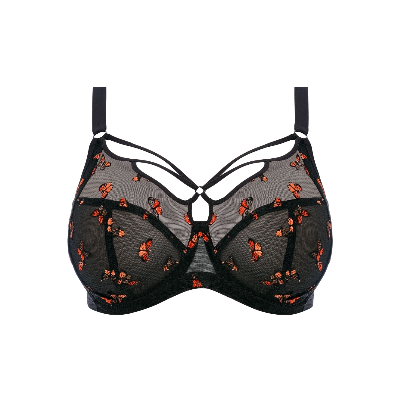 Elomi BH plunge Sachi DD-JJ Black Butterfly
