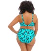 Elomi bikini top balconet Kotiya E-H Lagoon thumbnail