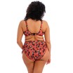 Elomi bikini top balconet Kotiya E-H Terracota thumbnail