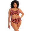 Elomi bikini top balconet Kotiya E-H Terracota thumbnail