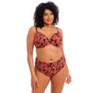 Elomi bikini top plunge Kotiya E-JJ Terracota thumbnail