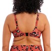 Elomi bikini top plunge Kotiya E-JJ Terracota thumbnail