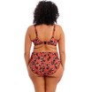 Elomi bikini top plunge Kotiya E-JJ Terracota thumbnail