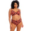 Elomi bikini slip mid rise Kotiya 40-52 Terracota thumbnail