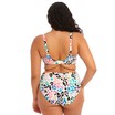 Elomi bikini top plunge Party Bay E-JJ Multi thumbnail