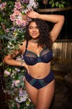 Elomi BH plunge Matilda DD-K Siren Song thumbnail