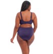 Elomi taille slip Cate M-4XL Ink thumbnail