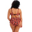 Elomi bikini slip high waist Kotiya 40-52 Terracota thumbnail